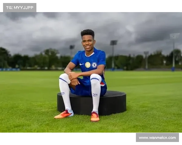 切尔西锋线遭遇严重伤病 埃斯特旺威廉缺阵影响巨大